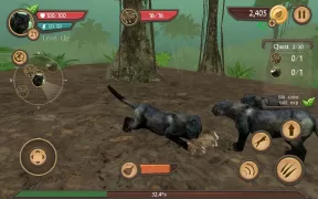 Wild Panther Sim 3D