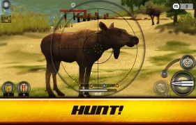 Wild Hunt: Real Hunting Games