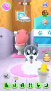 Talking Puppy