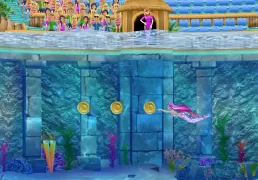 My Dolphin Show