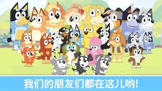 布鲁伊 - 一起玩吧