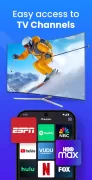Universal TV Remote Control