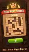 Wood Block Puzzle 3D