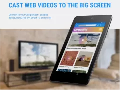 Web Video Cast