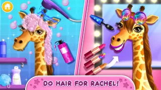 Rock Star Animal Hair Salon
