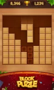 Block Puzzle - Wood Legend