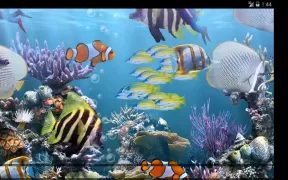 The real aquarium - LWP