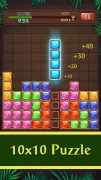 Block Puzzle - Jewels World