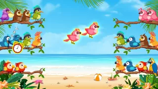 Bird Sort: Color Puzzle Game