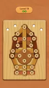 Wood Screw Puzzle