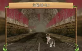 在线模拟猫