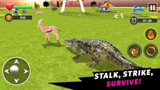 Crocodile Games - Animal Games