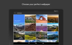 Google Wallpapers