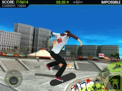 Skateboard Party 2