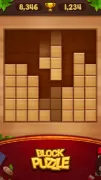 Block Puzzle - Wood Legend