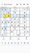 Killer Sudoku - Sudoku Puzzles