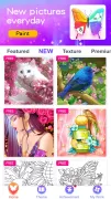 Paint Color: Color by Number