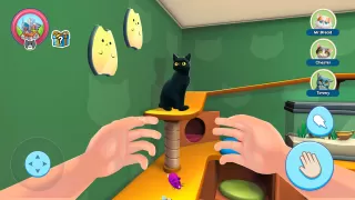 猫模拟器：我的宠物