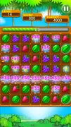 Fruit Splash