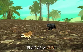 Wild Panther Sim 3D