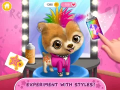 Rock Star Animal Hair Salon