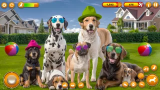 Doggy Day Out: Family Fun