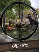 Wild Hunt: 狩猎游戏。射击模拟器