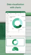 Microsoft Excel: Spreadsheets