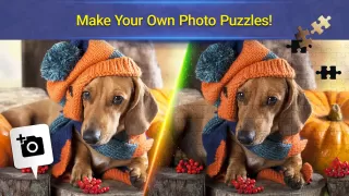 Jigsaw Puzzle Crown: Fun Games