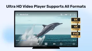 MX Player