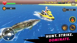 Crocodile Games - Animal Games