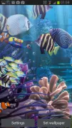 The real aquarium - LWP