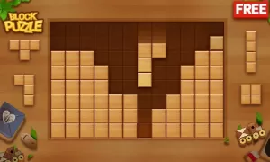 Block Puzzle - Wood Legend