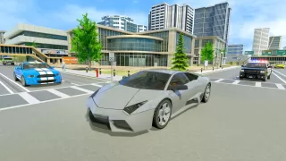 Street Racing Car Driver