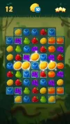 Sweet Fruit Candy