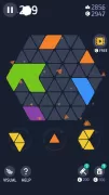 Make Hexa Puzzle