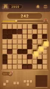 Block Sudoku Woody Puzzle Game