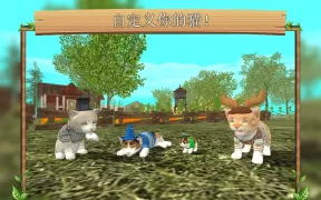 在线模拟猫