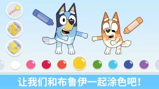 布鲁伊 - 一起玩吧