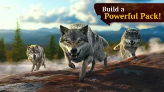 The Wolf