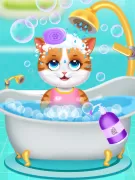 Cute Kitty Cat Pet Care