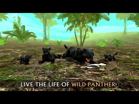 Wild Panther Sim 3D: Game Trailer for iOS and Android